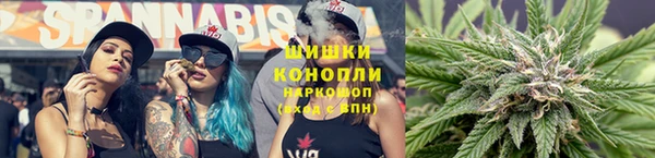 стаф Нефтегорск