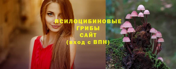 мдпв Навашино