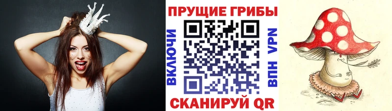 omg рабочий сайт  Ивдель  Псилоцибиновые грибы ЛСД 